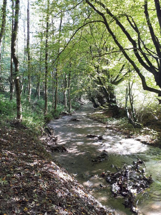 Fewo Zum Golfplatz Lügde Zewnętrze zdjęcie